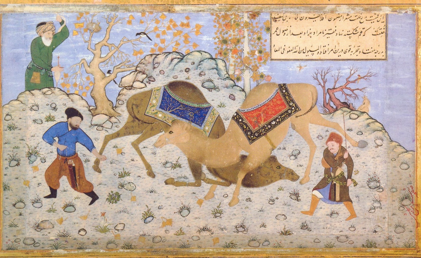 story image