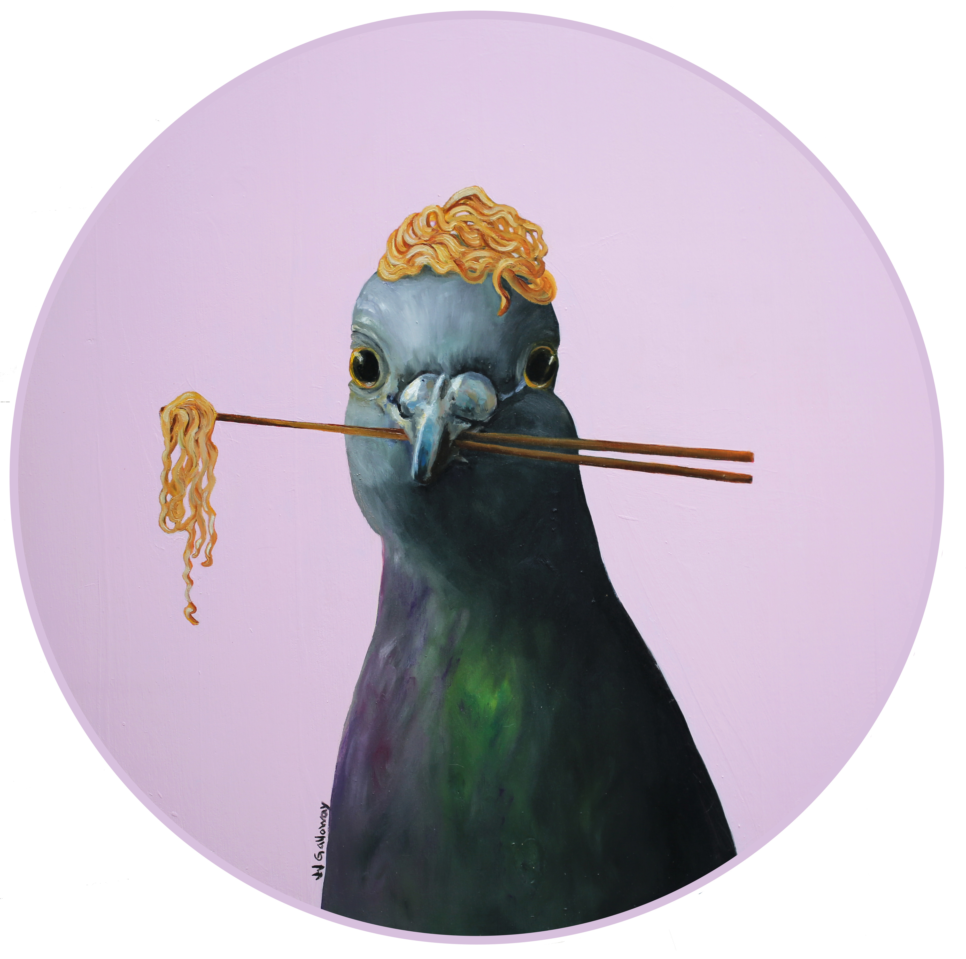 Pigeon with a Ramen Nest VII